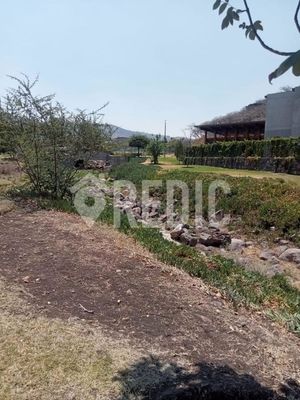 Terreno habitacional de 495 m2 en ALTOZANO