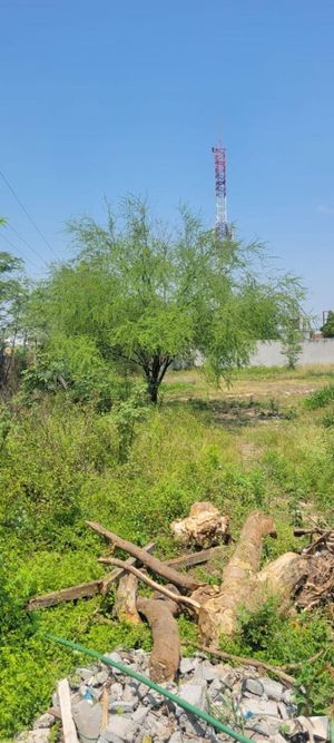 Terreno en Venta Villa Juarez