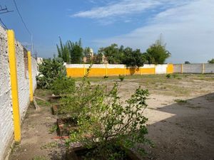 Terreno en venta en Zapote del Valle Jalisco