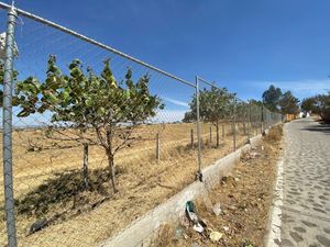 Terreno en venta en el ejido Cuescomatitlan en Tlajomulco