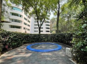 Departamento en Lomas de Chapultepec en venta