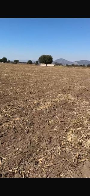 TERRENO EN VENTA CERCA DE AV. RAMÓN CORONA