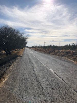 TERRENO AGRICOLA EN VENTA EL MARQUES 34HAS QUERÉTARO $650M2