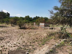 TERRENO EN VENTA 8000M2 EN LA VEGA TEQUISQUIAPAN, QRO