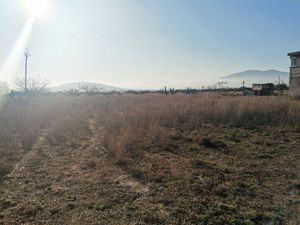 TERRENO EN VENTA 5000M2 EN EL LLANO, TEQUISQUIAPAN