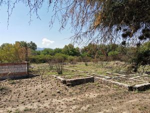 TERRENO EN VENTA 8000M2 EN LA VEGA TEQUISQUIAPAN, QRO