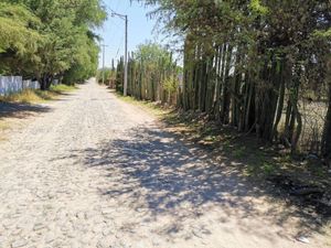 TERRENO EN VENTA 8000M2 EN LA VEGA TEQUISQUIAPAN, QRO