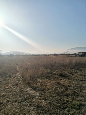 TERRENO EN VENTA 5000M2 EN EL LLANO, TEQUISQUIAPAN