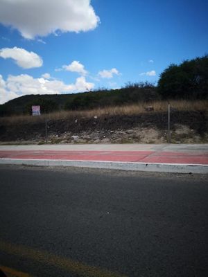 TERRENO HABITACIONAL EN VENTA 35HAS USO H4 ZONA ZIBATÁ, QUERÉTARO