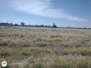 VENTA DE EXCELENTES TIERRAS CERCA DEL NUEVO AEROPUERTO FELIPE ANGELES