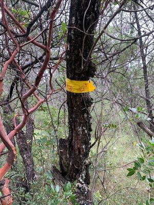 Terreno en Bosques de Huachichil