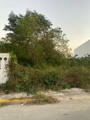 Terreno en venta ubicado en Dzityá, Mérida, Yucatán.