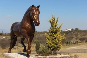 TERRENO EN VENTA,  HUICHAPAN - HIDALGO, HACIENDA REAL 1800