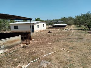 FINCA AGROTURISTICA IDEAL PARA RANCHO EN CALCEHTOK A PIE DE CARRETERA.