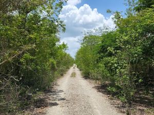 TERRENO EN VENTA EN KIKTEIL, MÉRIDA, YUCATÁN.