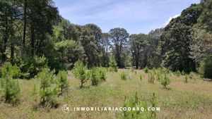 Terrenos en venta o renta ideal para inversión en Villa del Carbón.
