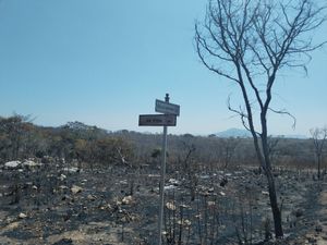 Terreno campestre en Fraccionamiento VIlla Verona