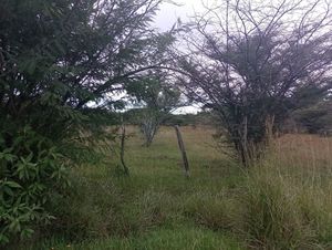 Terreno semiurbano en Comitán