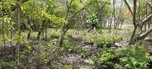 Terreno en Villa Esmeralda, Berriozabal