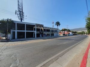 Local comercial frente a Caña Hueca