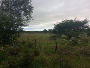 Terreno semiurbano en Comitán