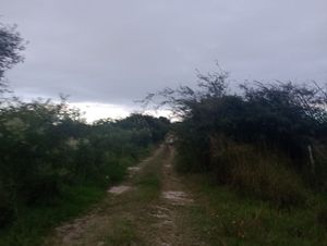 Terreno semiurbano en Comitán