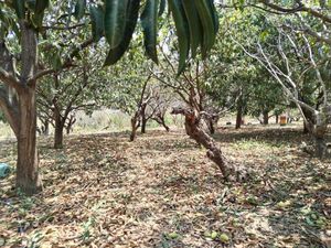 Terreno para inversión en Chiapa de Corzo