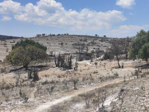 Terreno en Venta en El Oasis Valsequillo Puebla
