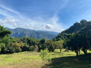 Terreno en Venta en Tepoztlán, Morelos