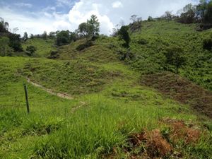 38 hectáreas Rancho en Parcela Ejidal a una hora de Palenque, Chiapas