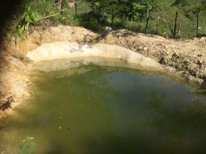 38 hectáreas Rancho en Parcela Ejidal a una hora de Palenque, Chiapas