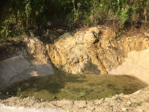 38 hectáreas Rancho en Parcela Ejidal a una hora de Palenque, Chiapas