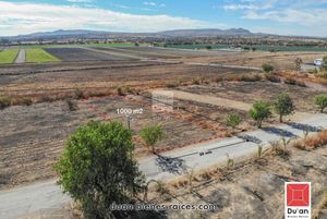 Terreno Campestre en Venta Fracc Pedregal de San Juan