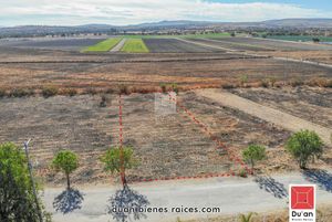 Terreno Campestre en Venta Fracc Pedregal de San Juan