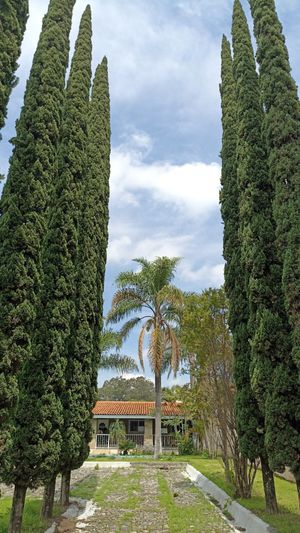 Casa de campo o eventos en Bosque la Primavera