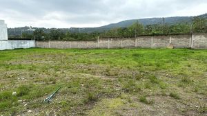 Terreno en Venta en Los Robles, Bosque de la Primavera, Zapopan