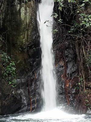 Rancho en Venta en Tepetzintla, Veracruz