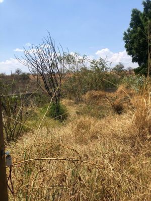 Terreno en Club de Golf Santa Fe, Morelos.