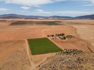 Venta de rancho en Ensenada