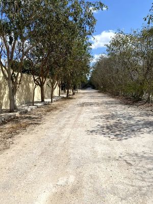 Casa residencial de un nivel, 3 recamaras en cholul