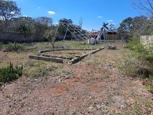 Terreno en Cholul, Mérida, Yucatán