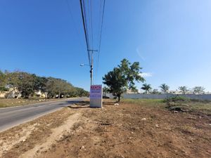 Terreno en renta sobre avenida en Conkal, norte de Mérida