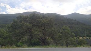 Terreno en Venta, Sierra de Arteaga, San Juan de los Dolores.