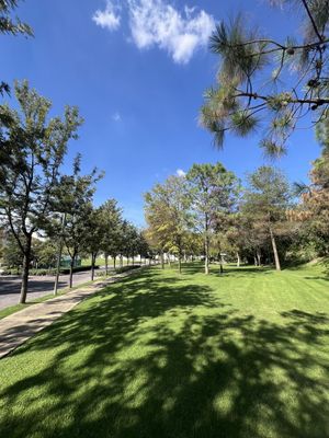 Terreno en Venta en Vallarta Universidad Zapopan