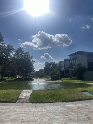 Terreno en Venta en Vallarta Universidad Zapopan