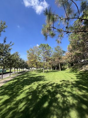 Terreno en Venta en Vallarta Universidad Zapopan