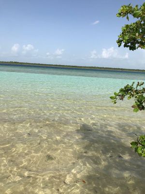 La maravilla de las agua cristalinas de Bacalar