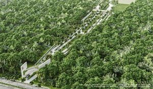 Terreno paradisíaco de inversión inmejorable en Riviera Maya (JUNIO 2026)