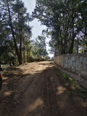 Terreno en venta en Huasca de Ocampo