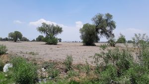 Terreno en venta a pie de carretera en Zapotlán de Juárez